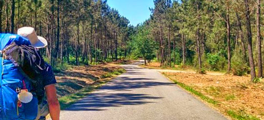 Inland Portuguese Camino