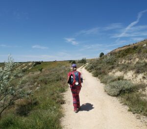 Solo traveller between Los Arcos And Logroño