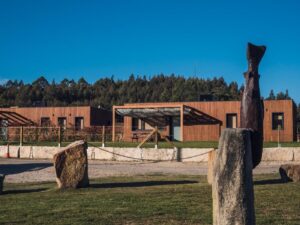 Cabañas Beche Eco-Camp