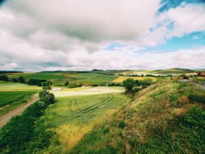 Camino spring fields Granon