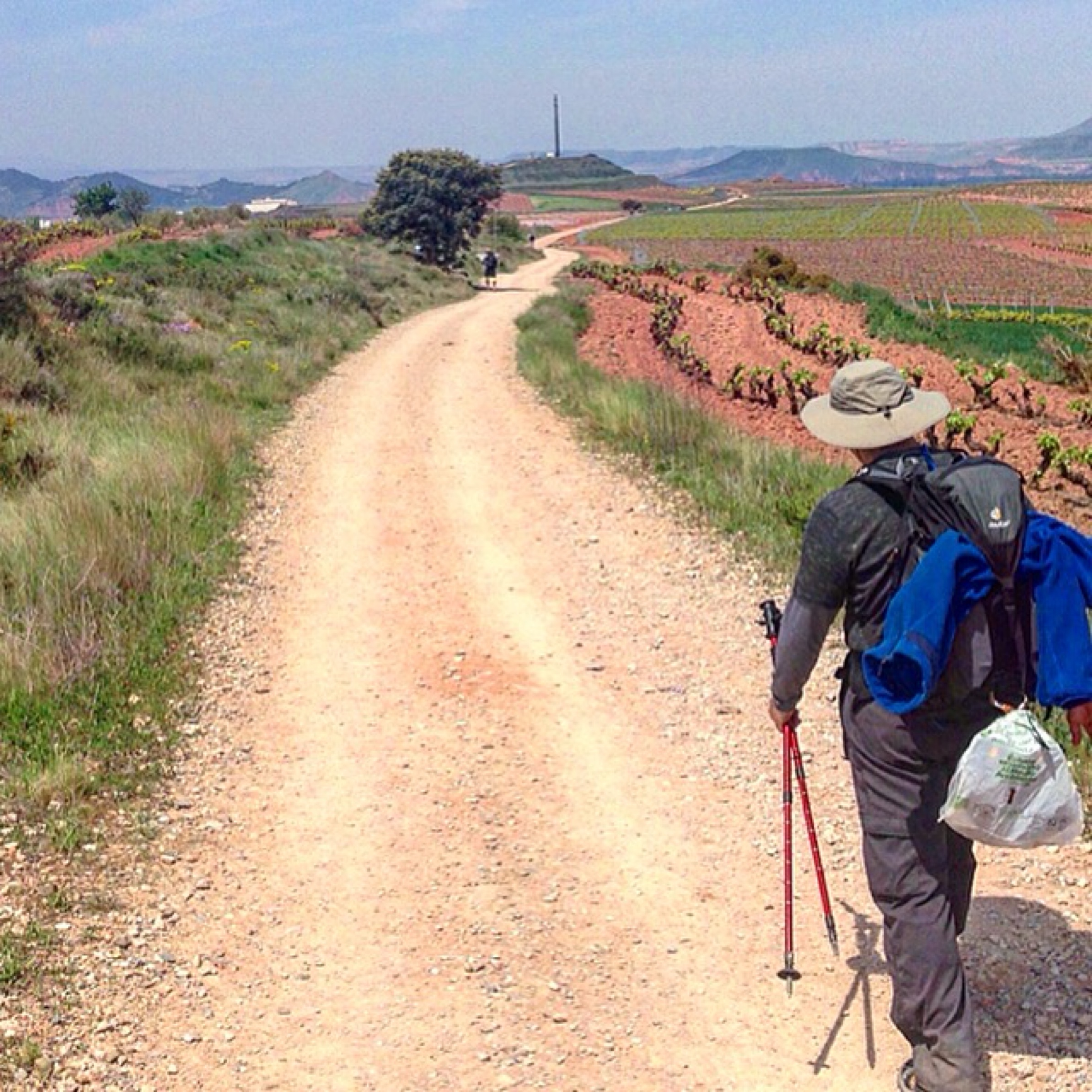 A lone pilgrim walks a dirt track through red-earth vineyards