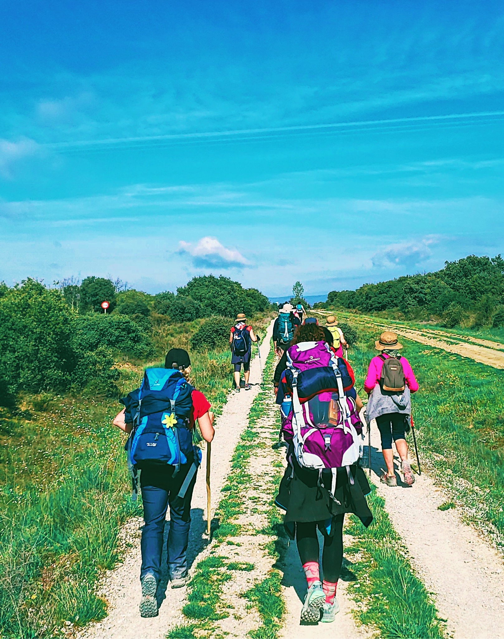 Pilgrims walking together on the Camino trail under a blue sky